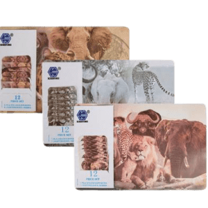 PLACE MAT PP W/COASTERS 6PC 43x28cm ASST