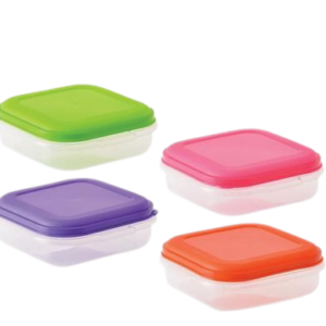 Container Foodsaver 800Ml