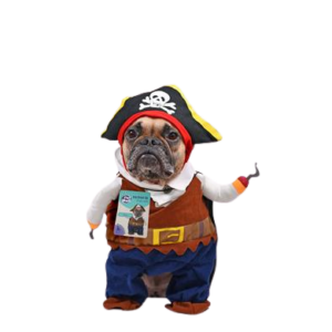 PET DOG NOVELTY CLOTHING PIRATE-SMALL