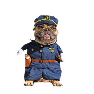 PET DOG NOVELTY CLOTHING POLICE-MEDIUM