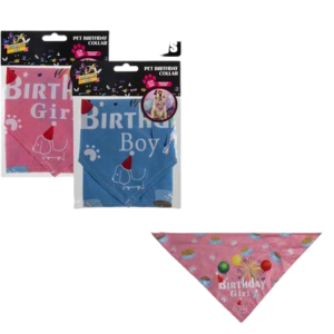 DRESS UP PET BIRTHDAY COLLAR