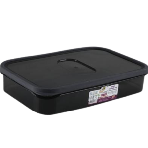 CONTAINER SMART 1.65L 25x16x5cm